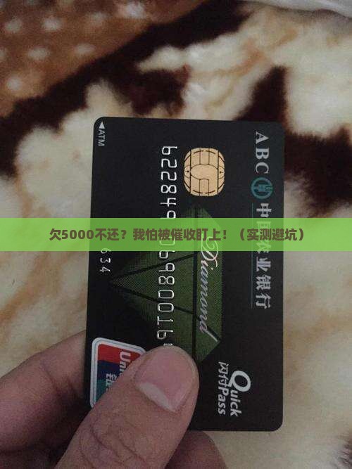 极融借款欠5000不还会怎么样