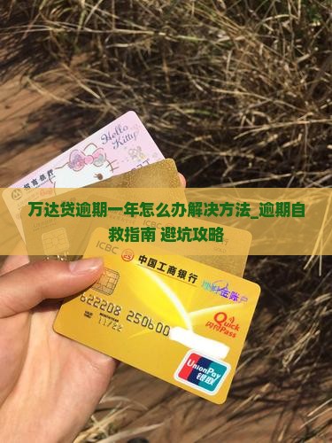 万达贷逾期一年怎么办解决方法