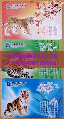 滴滴金融能协商还本金吗如何操作