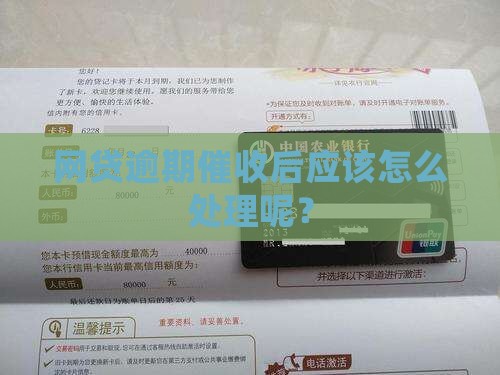 网贷逾期催收后应该怎么处理