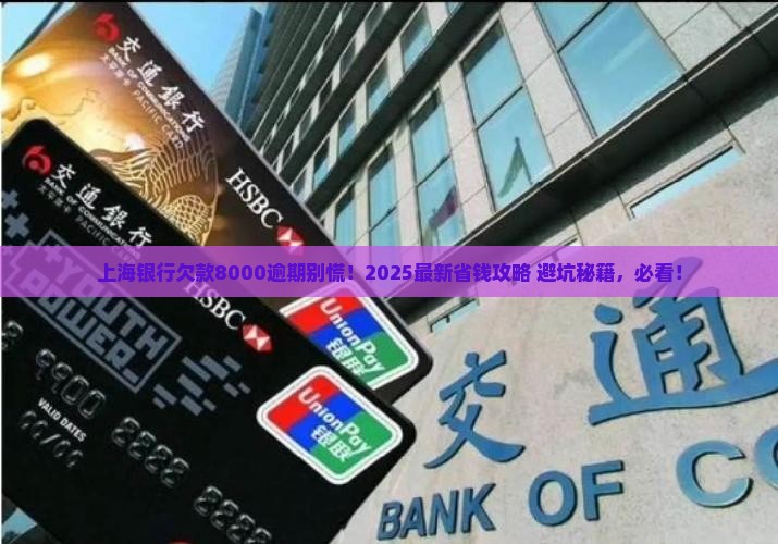 上海银行欠款8000逾期怎么办