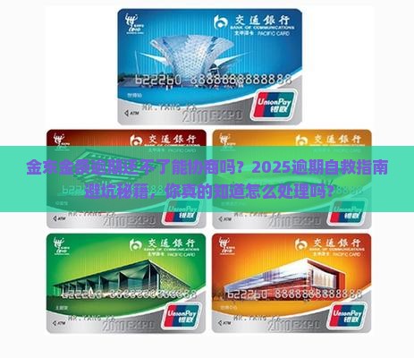 金东金条逾期还不了能协商吗