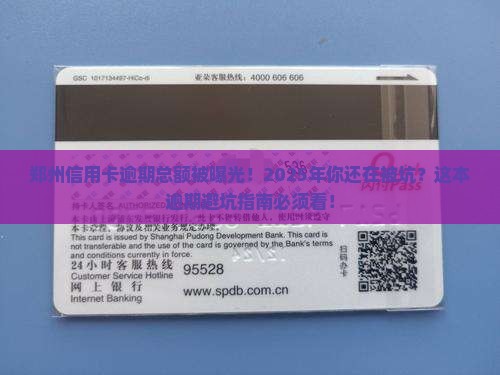 郑州信用卡逾期总额