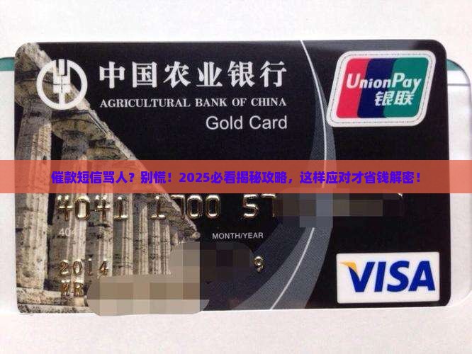 催款匿名发骂人短信