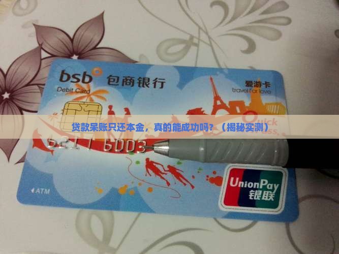 贷款呆账只还本金几率大吗