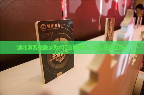 湖北消费金融欠款6万两年未还