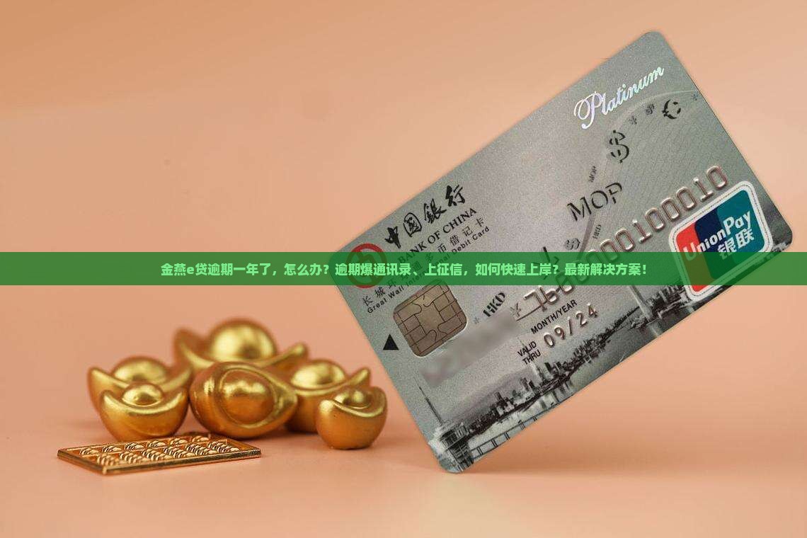 金燕e贷逾期一年了
