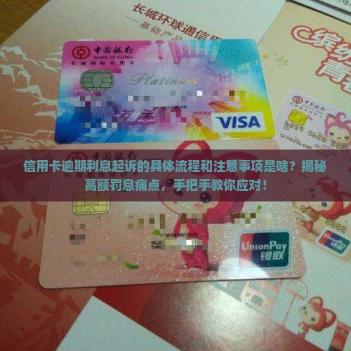 信用卡逾期利息起诉的具体流程和注意事项