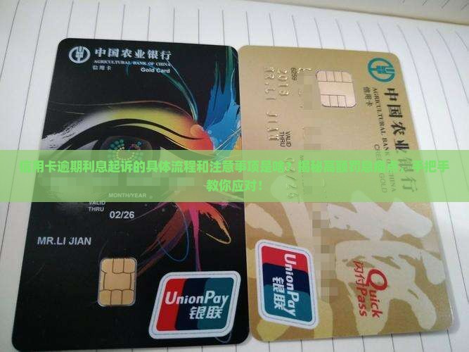 信用卡逾期利息起诉的具体流程和注意事项