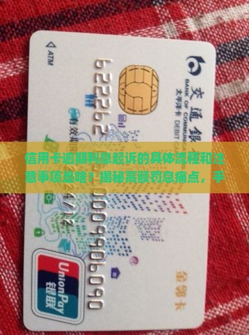 信用卡逾期利息起诉的具体流程和注意事项
