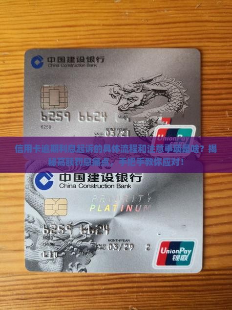 信用卡逾期利息起诉的具体流程和注意事项