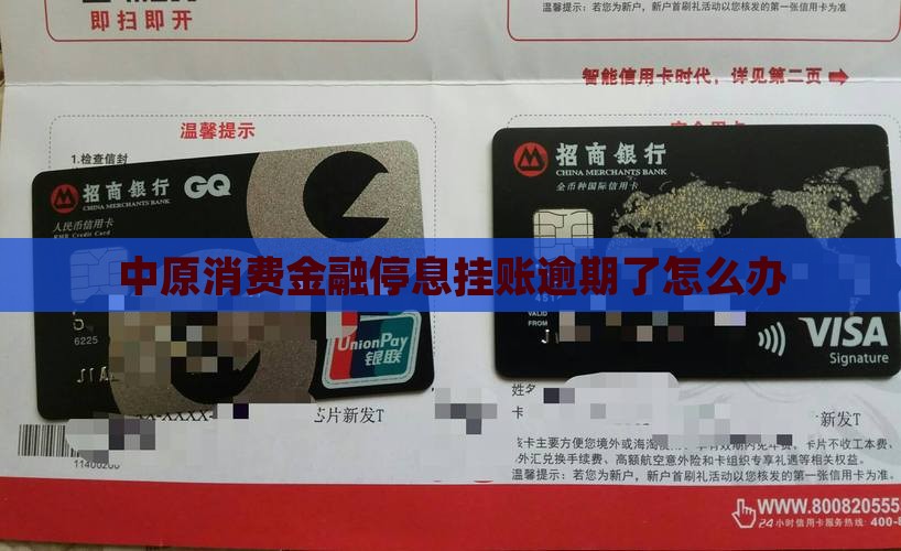 中原消费金额停息挂账怎么办