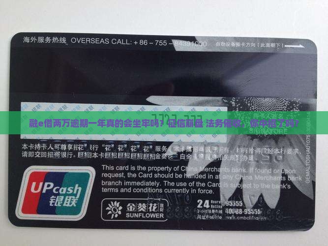 融e借两万逾期一年坐牢