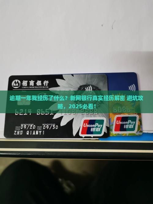 新网银行逾期一年亲身经历详细分享