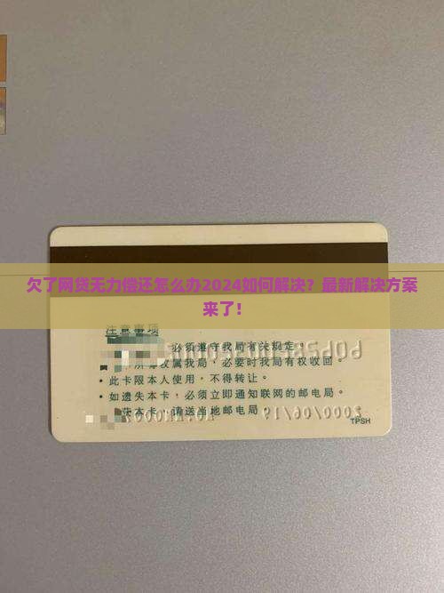 欠了网贷无力偿还怎么办2024如何解决