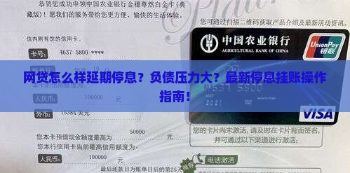 网贷怎么样延期停息操作步骤
