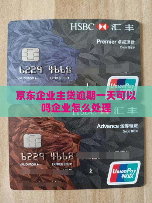 京东企业主贷逾期一天可以吗怎么办