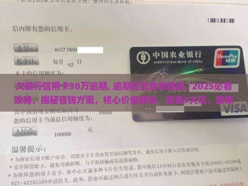 欠银行信用卡30万逾期