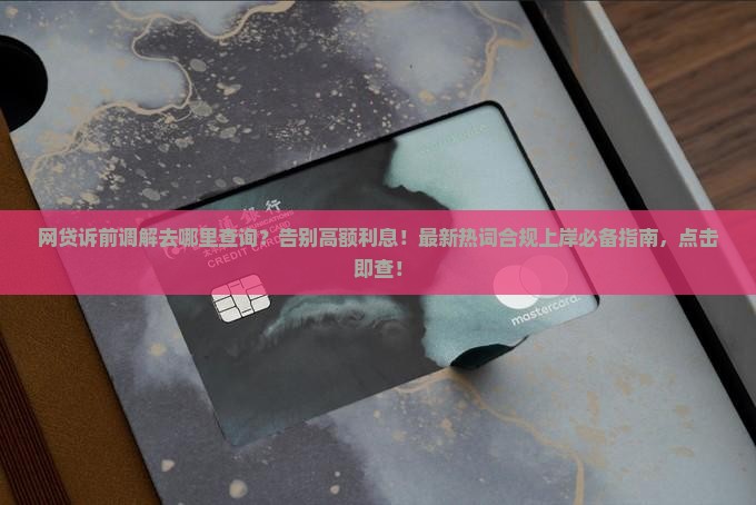 网贷诉前调解去哪里查询