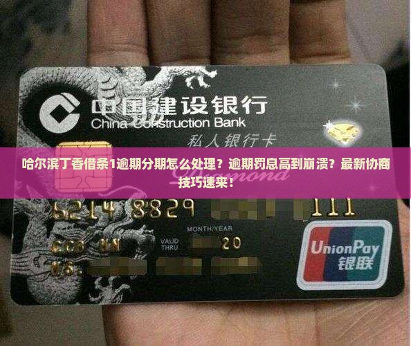 哈尔滨丁香借条1逾期分期怎么处理