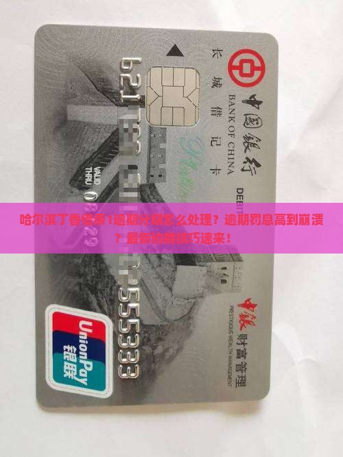 哈尔滨丁香借条1逾期分期怎么处理