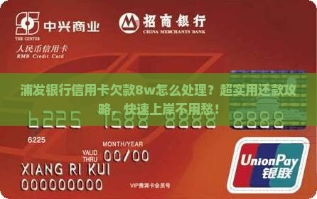 浦发银行信用卡欠款8w怎么处理