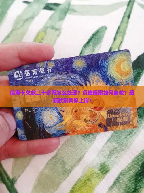 信用卡欠款二十多万怎么处理