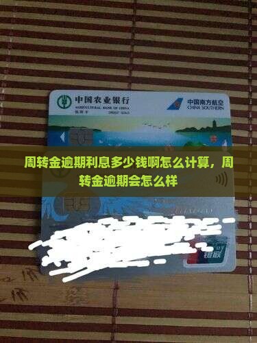 周转金逾期利息多少钱啊怎么计算