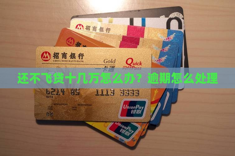 飞贷十几万还不上怎么办