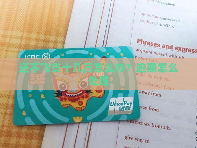 飞贷十几万还不上怎么办