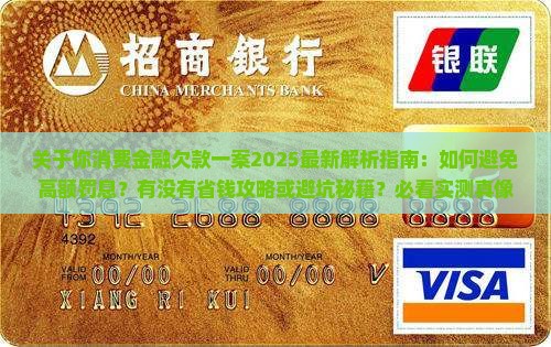 关于你消费金融欠款一案