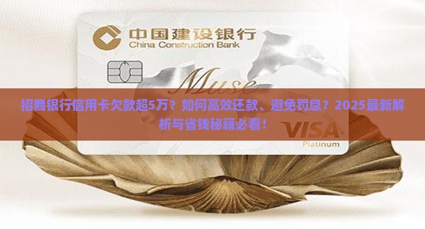 招商银行信用卡欠款超5万