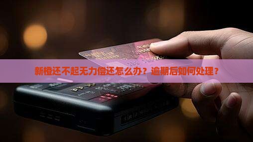 新橙还不起无力偿还怎么办
