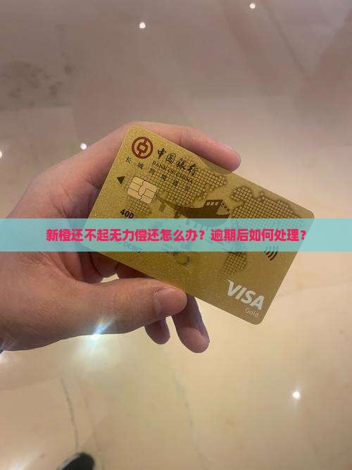 新橙还不起无力偿还怎么办
