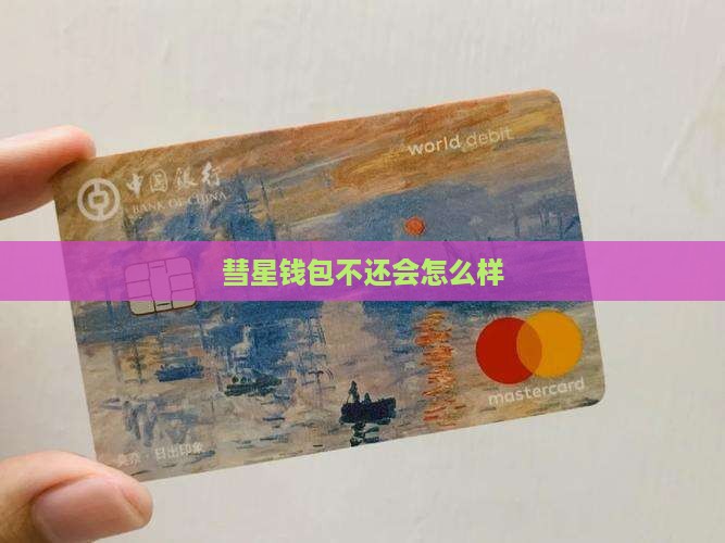 彗星钱包不还会怎么样