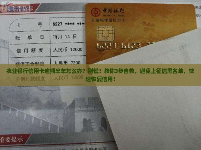 农业银行信用卡逾期半年怎么办