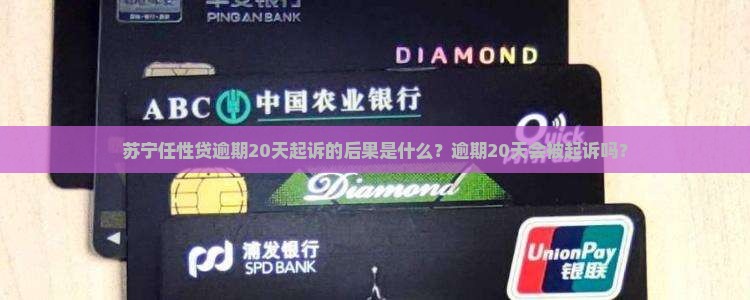 苏宁任性贷逾期20天起诉的后果是什么