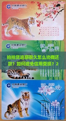 拍拍贷逾期很久怎么协商还款及避免信用受损