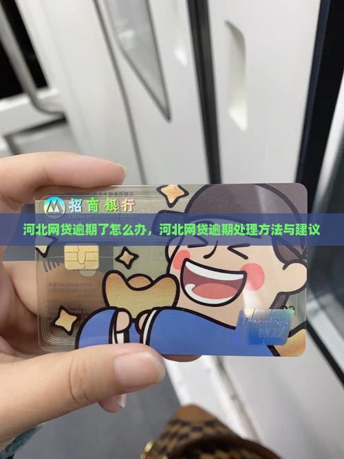 河北网贷逾期了怎么办