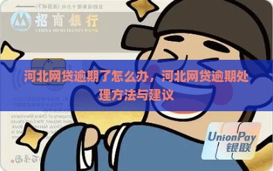 河北网贷逾期了怎么办