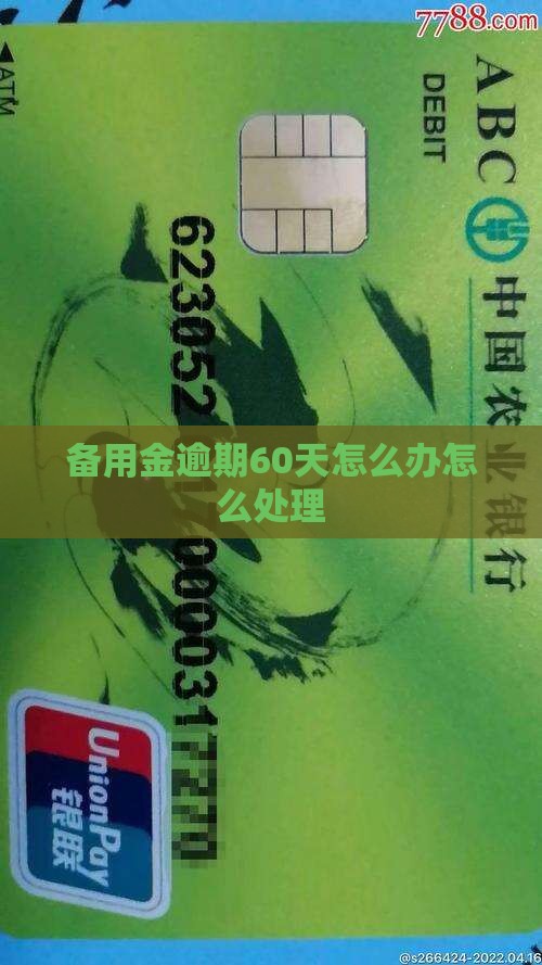 备用金逾期60天怎么办