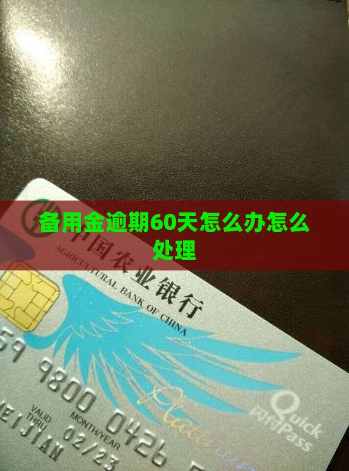 备用金逾期60天怎么办