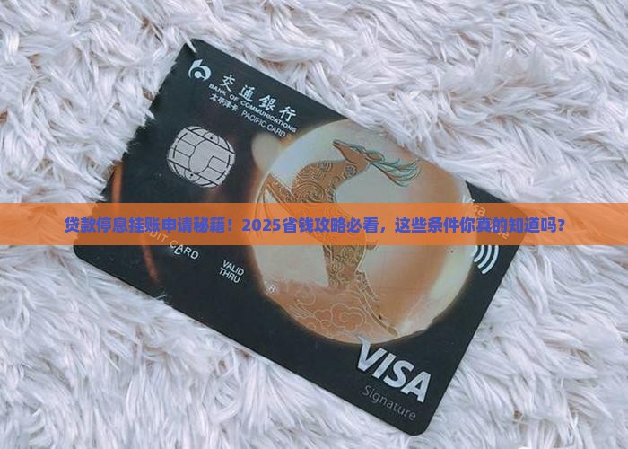 贷款停息挂账申请条件详解