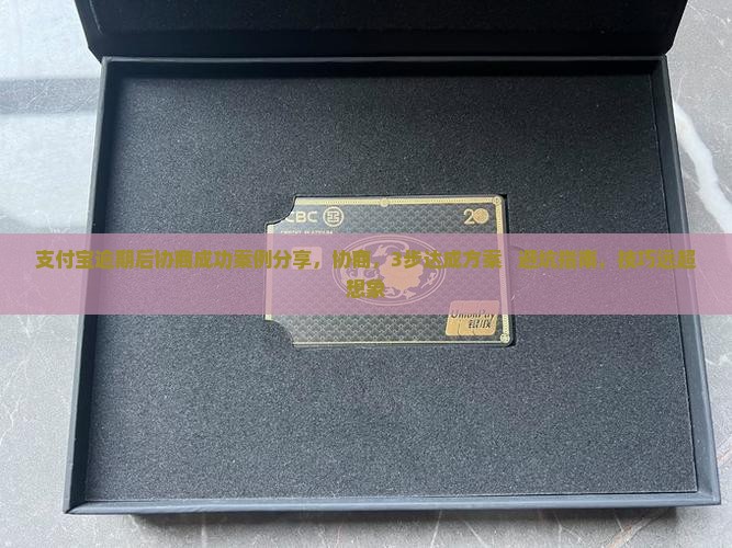 支付宝逾期后协商成功案例分享