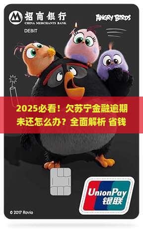 欠苏宁金融逾期未还怎么办