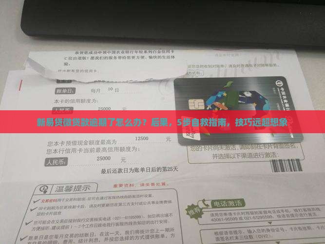 新易贷微贷款逾期了怎么办