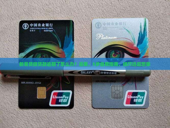 新易贷微贷款逾期了怎么办