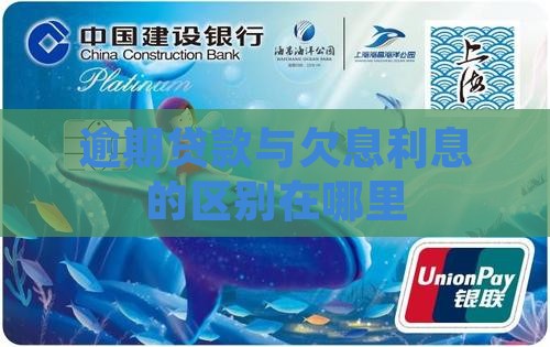 银行贷款逾期和欠息的区别在哪里