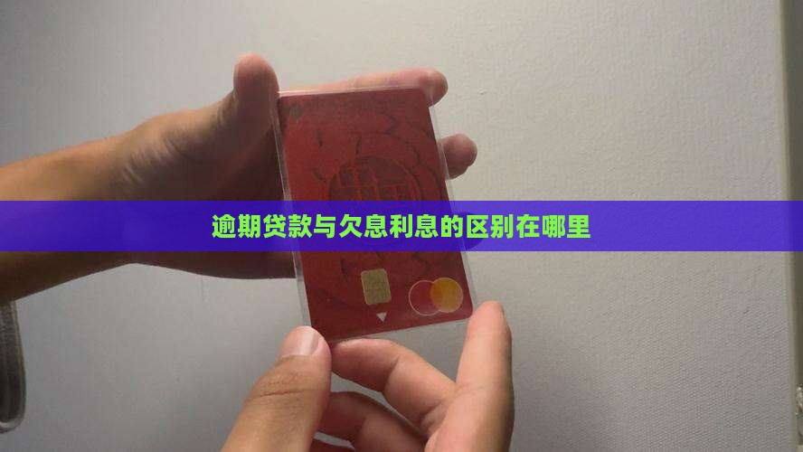 银行贷款逾期和欠息的区别在哪里
