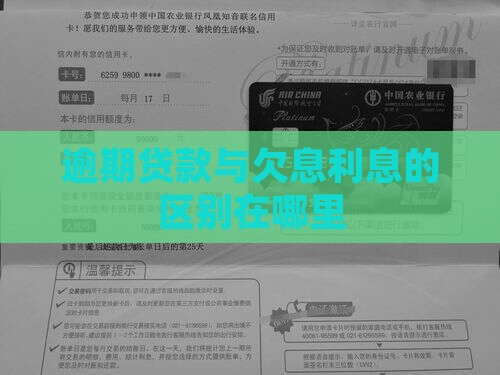 银行贷款逾期和欠息的区别在哪里